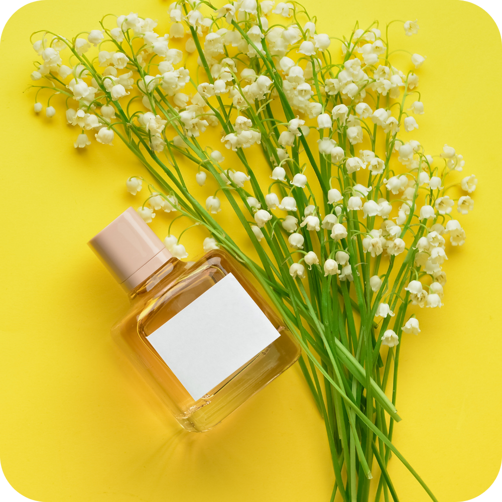 Body Spray & Perfume Assessments - Craftiful Fragrance Oils - Supplies for Wax Melts, Candles, Room Sprays, Reed Diffusers, Bath Bombs, Soaps, Perfumes, Bath Salts and Body Sprays