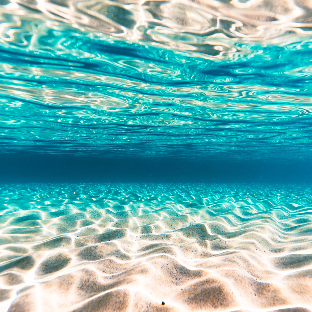 Vitamin Sea Fragrance Oil