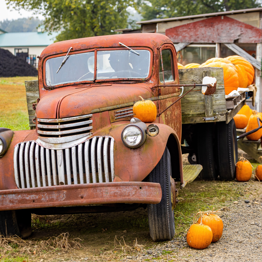 Pumpkin Picking Fragrance Oil