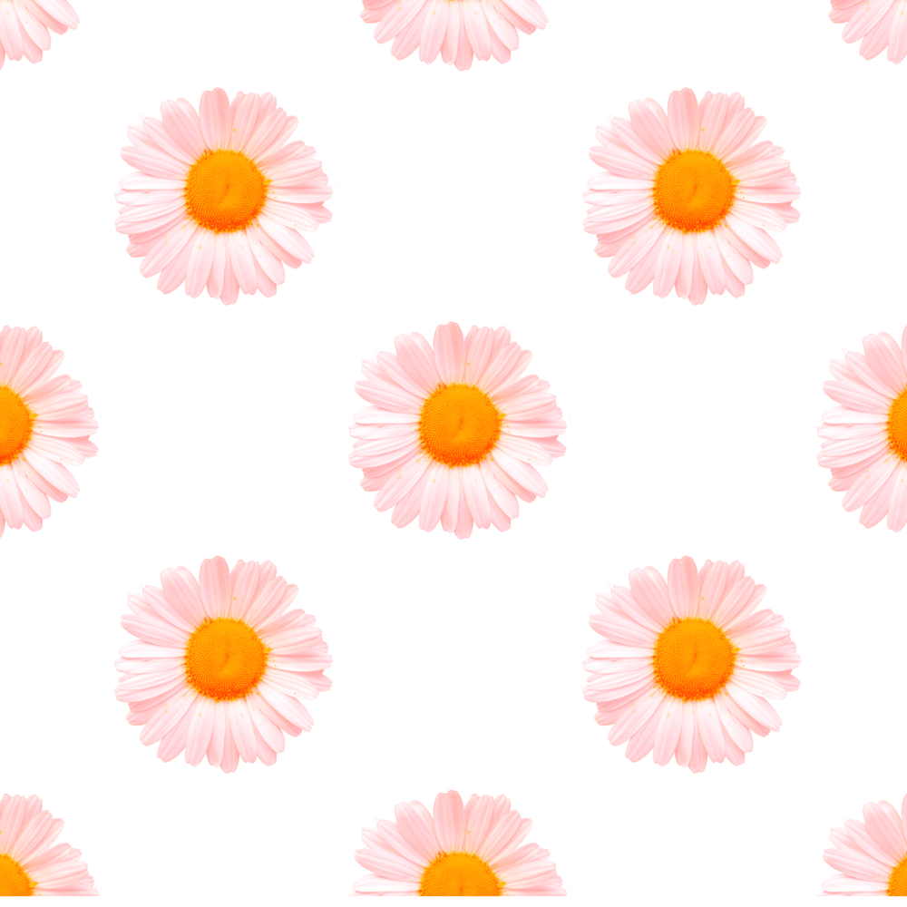 Daisy Fragrance Oil - Craftiful Fragrance Oils - Supplies for Wax Melts, Candles, Room Sprays, Reed Diffusers, Bath Bombs, Soaps, Perfumes, Bath Salts and Body Sprays