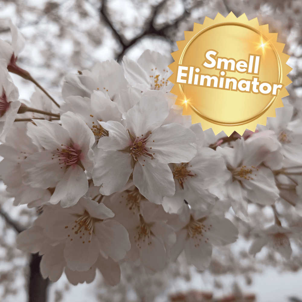Delicate Blooms Fragrance Oil - Craftiful Fragrance Oils - Supplies for Wax Melts, Candles, Room Sprays, Reed Diffusers, Bath Bombs, Soaps, Perfumes, Bath Salts and Body Sprays