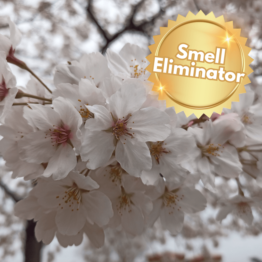 Delicate Blooms Fragrance Oil - Craftiful Fragrance Oils - Supplies for Wax Melts, Candles, Room Sprays, Reed Diffusers, Bath Bombs, Soaps, Perfumes, Bath Salts and Body Sprays