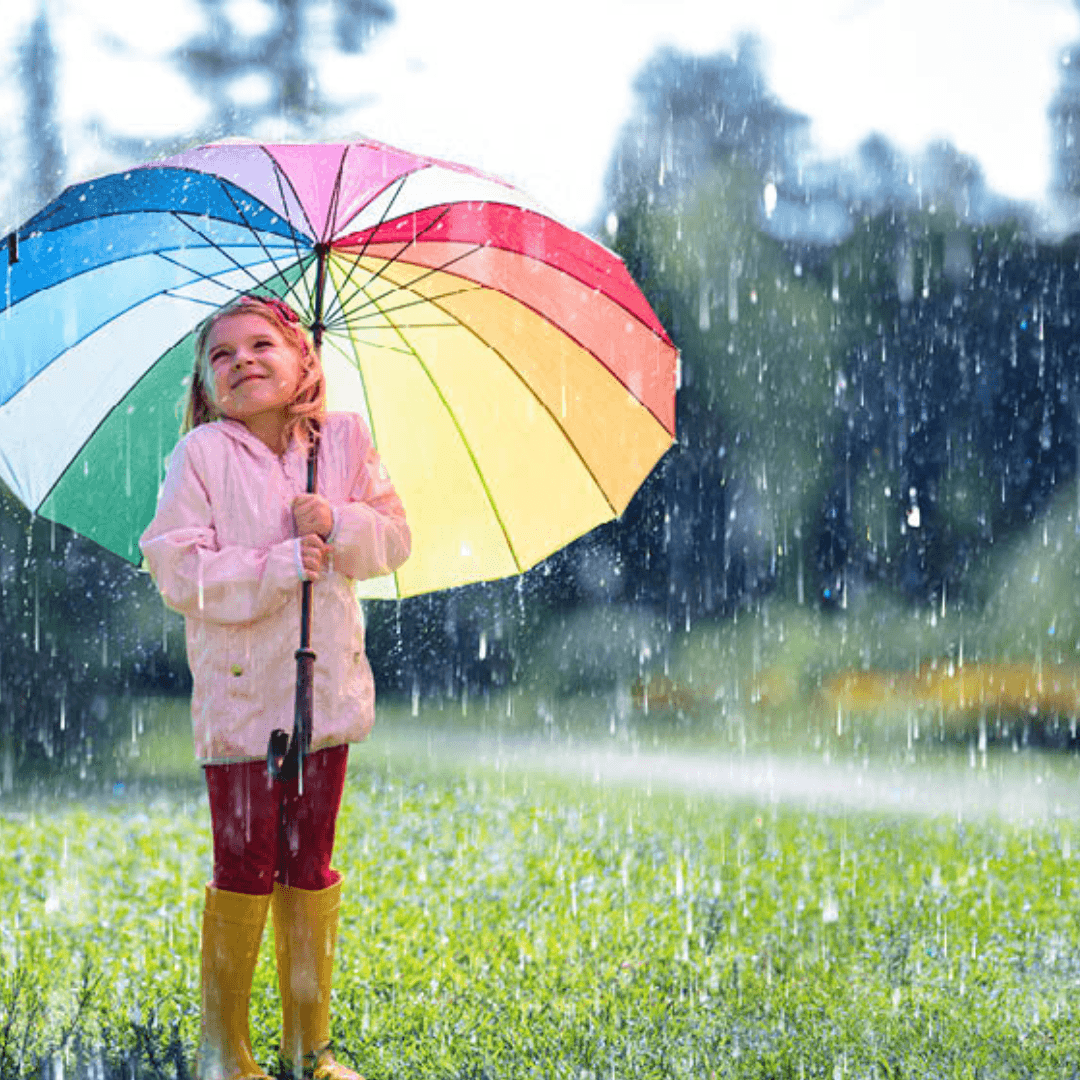 Rain Clouds & Salted Moss Fragrance Oil Craftiful Fragrance Oils