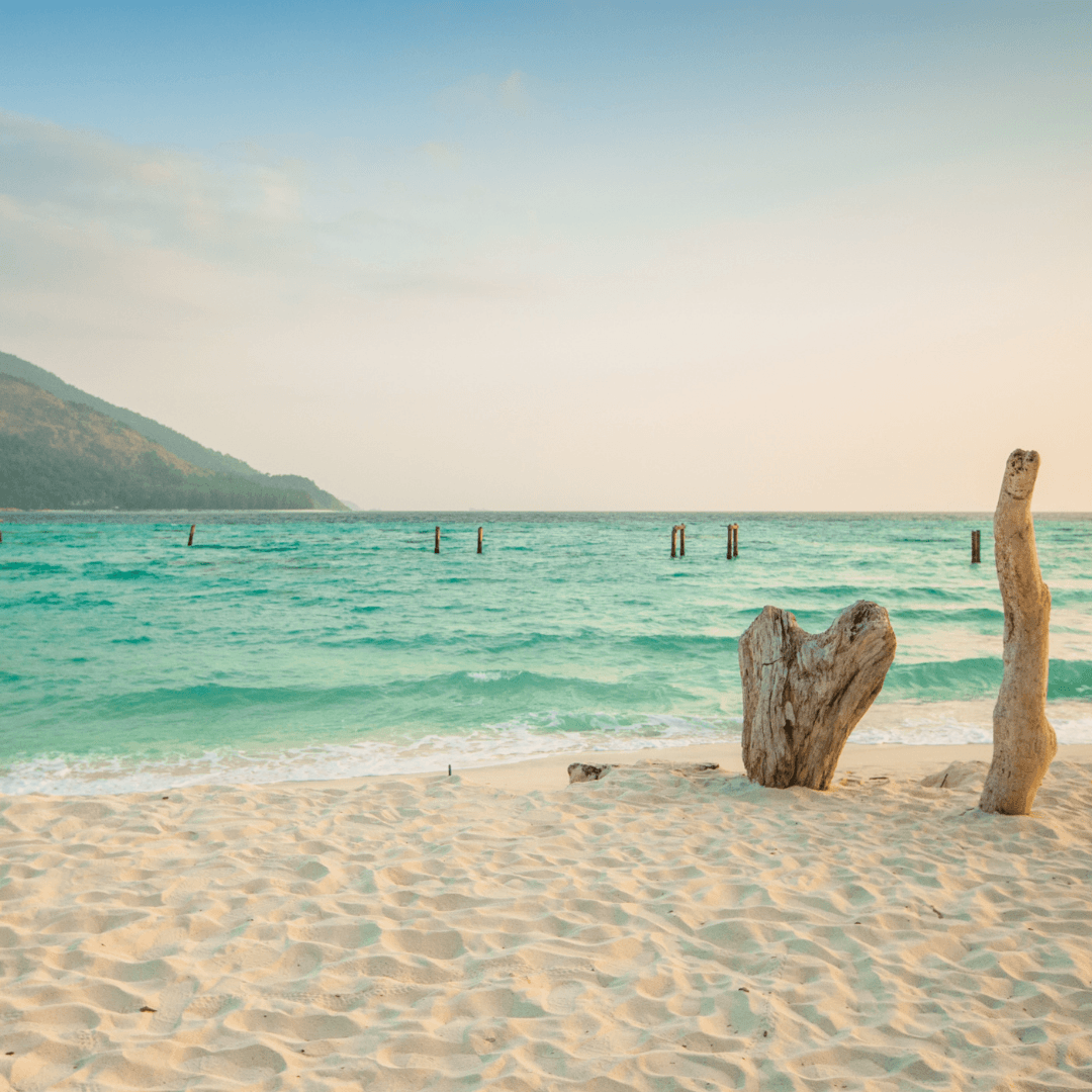 Surf Tropical Fragrance Oil Craftiful Fragrance Oils