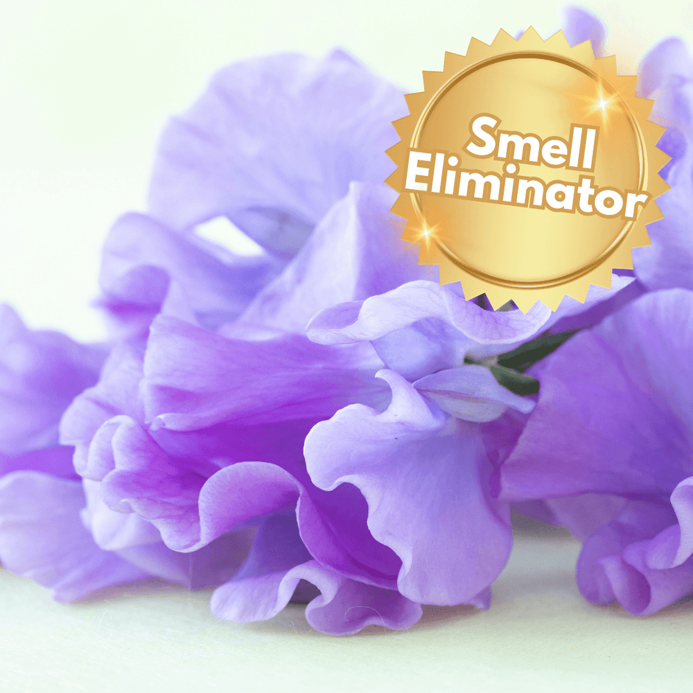 Sweet Pea & Jasmin Fragrance Oil - Craftiful Fragrance Oils - Supplies for Wax Melts, Candles, Room Sprays, Reed Diffusers, Bath Bombs, Soaps, Perfumes, Bath Salts and Body Sprays